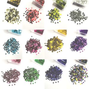 Multicolor Glitter Sequins Set of 12 Colors for Resin Art, Nail Art, Body Art, Jewellery, DIY Art & Craft, Decoration Projects (Pack of 12 Bottles/Approx. 100 GMS.) (Star Shape)