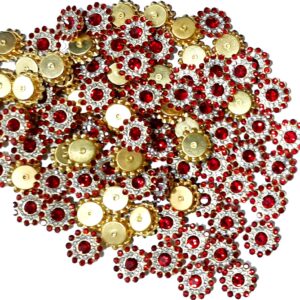 Stone Flower for Embroidery, Clothes, Blouse, Saree, Dress Decoration (Pack of Approx 250 Pcs/125 GMS) (Red)