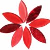 Oval Shape Glass Mosaic Tiles for DIY Mosaic Art, Picture Coaster, Home Decoration (45mm x 15mm) (Pack of 50gms, Red)